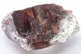 Rare, Red Villiaumite Crystal Section - Murmansk Oblast, Russia #195322-1